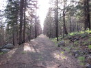 photo thumbnail #7