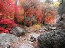 photo thumbnail #10