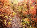 photo thumbnail #14