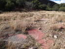 photo thumbnail #7