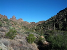 photo thumbnail #2