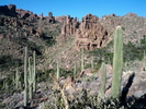 photo thumbnail #4