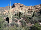 photo thumbnail #5