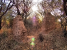 photo thumbnail #12