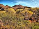 photo thumbnail #14
