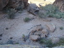 photo thumbnail #5
