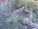 photo thumbnail #8