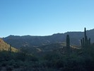 photo thumbnail #1