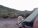 photo thumbnail #7