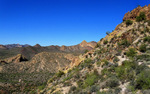 photo thumbnail #4