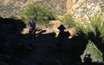 photo thumbnail #7