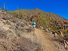 photo thumbnail #5