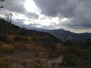photo thumbnail #3