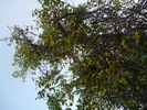 photo thumbnail #14