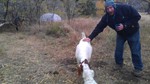 photo thumbnail #9