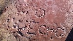 photo thumbnail #15
