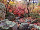 photo thumbnail #1