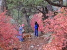 photo thumbnail #9