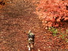 photo thumbnail #10