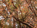 photo thumbnail #14