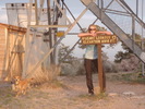 photo thumbnail #1