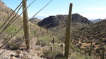 photo thumbnail #6