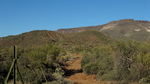 photo thumbnail #12