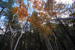 photo thumbnail #13
