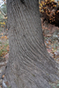 photo thumbnail #15