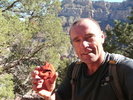 photo thumbnail #2