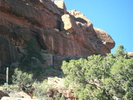 recent photo