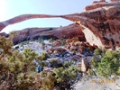 photo thumbnail #7