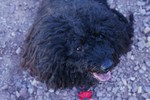 photo thumbnail #11