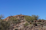 photo thumbnail #12