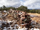 photo thumbnail #1