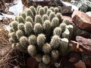 photo thumbnail #2