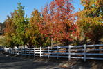 photo thumbnail #10