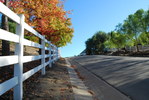 photo thumbnail #11