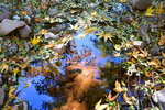 photo thumbnail #12