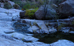 photo thumbnail #7