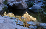 photo thumbnail #11