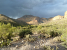 photo thumbnail #8