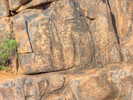 photo thumbnail #4