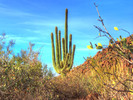 photo thumbnail #9