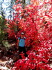 photo thumbnail #2