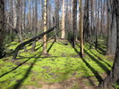 photo thumbnail #5