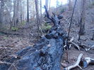 photo thumbnail #10