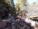 photo thumbnail #12