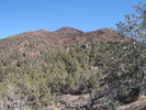 photo thumbnail #13