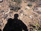 photo thumbnail #15